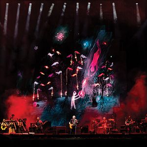 Bilder David Gilmour