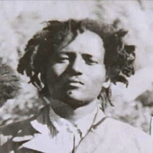 Bilder Black Lions – Roman Wolves