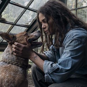 Bilder Never Let Go - Lass niemals los