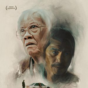 Bilder The Accidental Getaway Driver