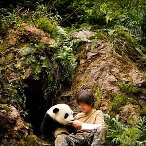 Bilder Moon, der Panda