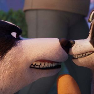 Bilder Tierisch abgefahren - Rettet die Pets!