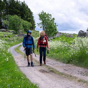 Bilder Compostelle