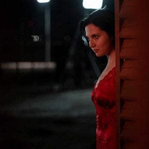 Bilder The Fence - Black Battles With Dogs