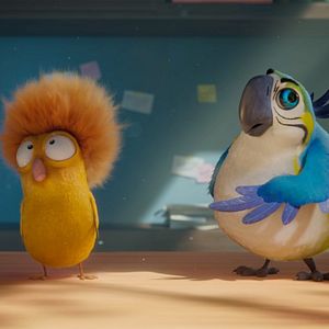 Bilder Alles für die Katz