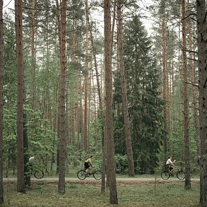 Bilder Wahrheit & Verrat - Truth & Treason