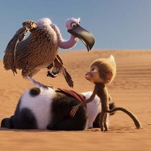 Bilder Der kleine Panda in Afrika