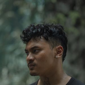 Bilder Borderless Fog