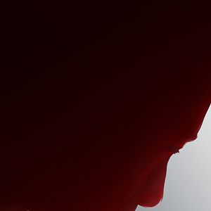 Bilder Jiang Yuan Nong