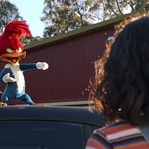 Bilder Woody Woodpecker geht ins Camp