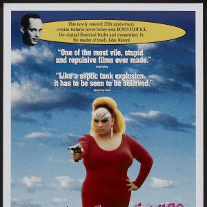 Bilder Pink Flamingos