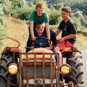 Bilder Könige des Sommers