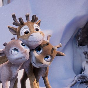 Bilder Niko - Reise zu den Polarlichtern