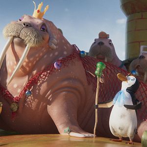 Bilder Der letzte Walsänger