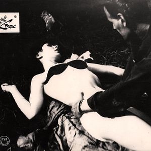 Bilder Im Fieber der Lust