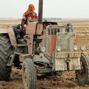 Bilder Tevî her tiştî – Trotz alledem