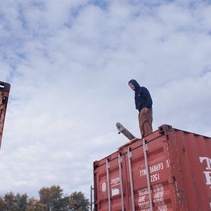 Bilder Die feige Schönheit