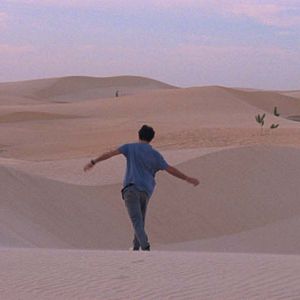 Bilder I Only Rest In The Storm