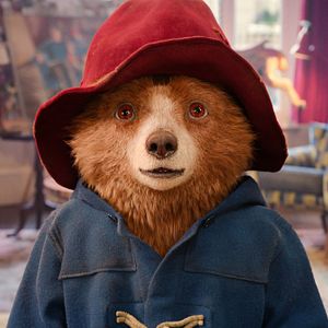 Bilder Paddington in Peru