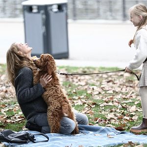 Bilder Sebastian Fitzeks Der Heimweg