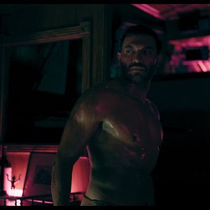 Bilder Flycatcher - Survival Has Its Price