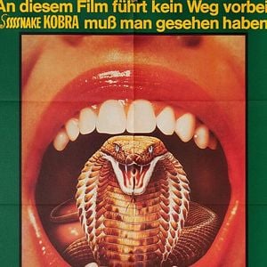 Bilder Sssssnake Kobra