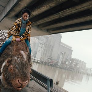 Bilder Mein Totemtier & ich