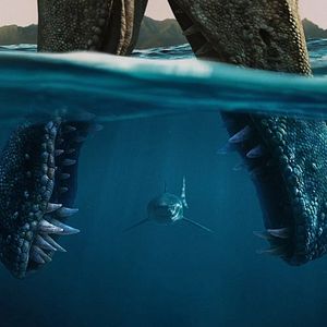 Bilder Die Dinosaurier