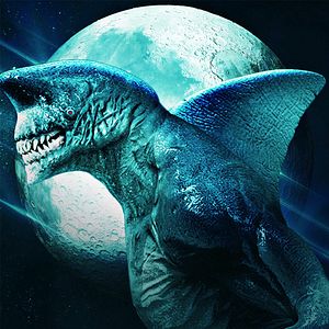Bilder Shark Side Of The Moon