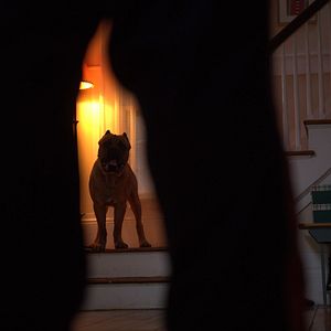 Bilder Becky 2 - She's back!