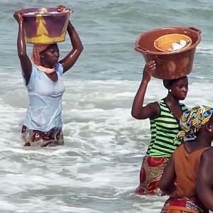 Bilder Die Treibende Kraft