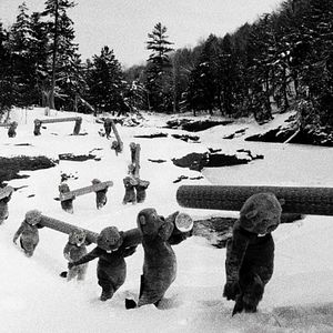 Bilder Hundreds Of Beavers