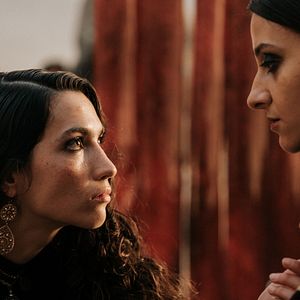 Bilder Kein Tier. So Wild.