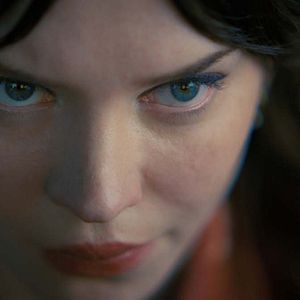 Bilder Companion - Die perfekte Begleitung