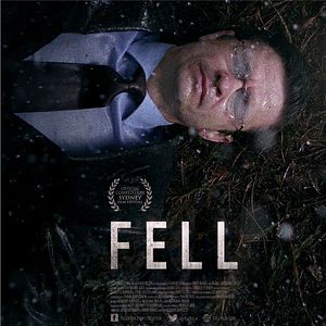 Bilder Fell