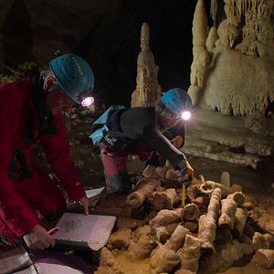 Bilder Geheimnisse der Neandertaler