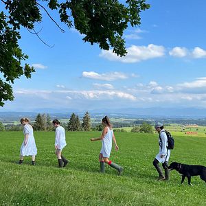 Bilder Überall gibt es ein Hausen