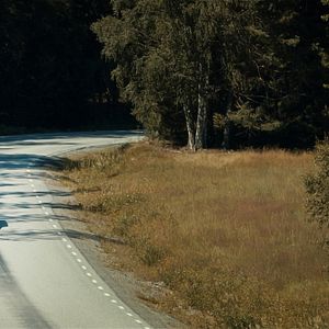 Bilder Fünf Finger sind 'ne Faust