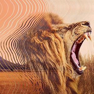 Bilder Die geheime Welt der Klänge mit David Attenborough