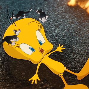 Bilder Coyote vs. ACME