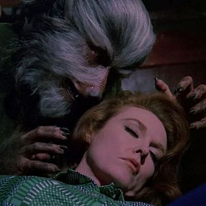 Bilder Ein Junge schrie Werwolf