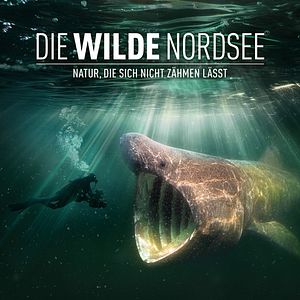 Bilder Die wilde Nordsee - Natur, die sich nicht zähmen lässt