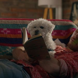 Bilder Was wir gemeinsam schufen 