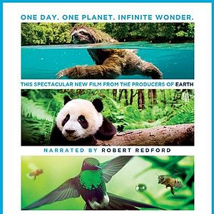 Bilder Unsere Erde 2