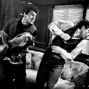 Bilder Allen Gefahren zum Trotz