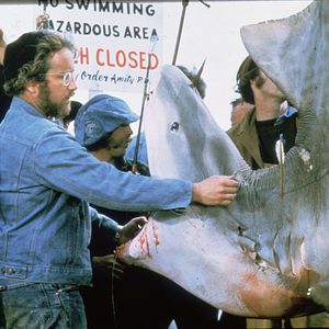 Bilder Der weiße Hai