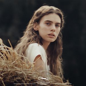 Bilder In die Sonne schauen