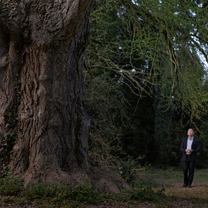 Bilder Silent Friend