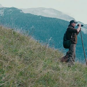 Bilder Gefährlich nah – Wenn Bären töten