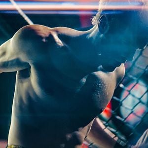 Bilder Lion Fist – Kampf der Champions